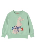 SS25-099/R22 Толстовка Tiny Cottons мальчики SS-25, фото 1