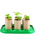 E5580_HPДетский игровой выращивания рассады"Садовод", фото 3