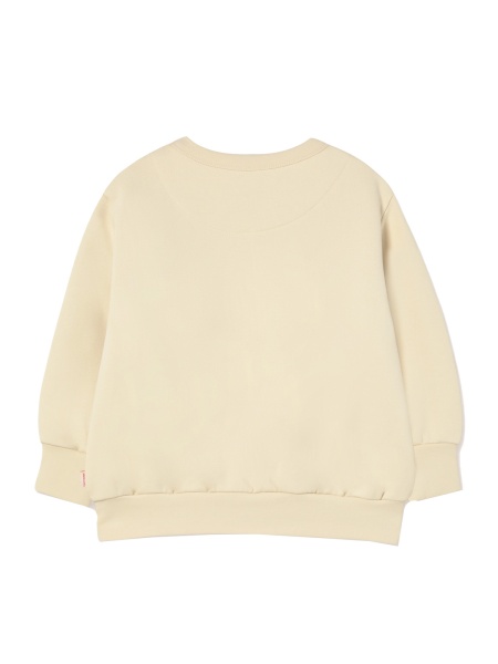 AW25-284/M01 Толстовка Tiny Cottons, фото 2