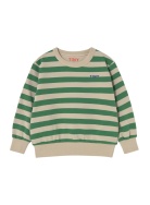 SS25-125/R39 Толстовка Tiny Cottons мальчики SS-25, фото 1